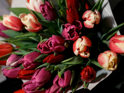 Украинская кухня в ресторане Prynada